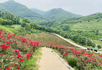 秦岭国家植物园第 19 张图片