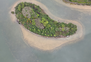 新蒲湿地公园第 40 张图片
