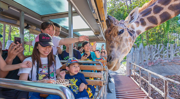 清迈夜间野生动物园