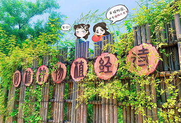 诗经里第 19 张图片