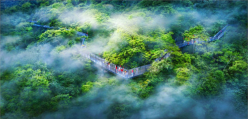 海南百花岭热带雨林文化旅游区第 3 张图片