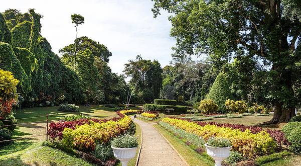 康提皇家植物园