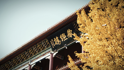 善化寺第 20 张图片