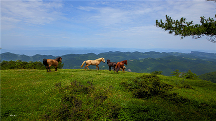 百里荒旅游度假区第 15 张图片