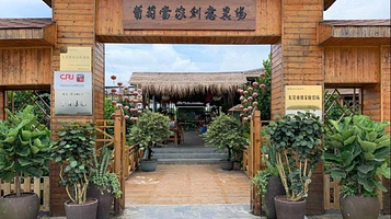 葡萄当家创意农场