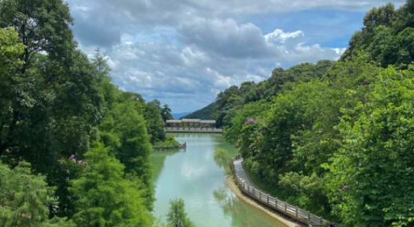 帽峰山森林公园天湖