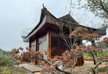 宜春绿野仙踪旅游度假区第 24 张图片