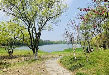 茅家埠景区第 9 张图片