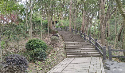 东佘山园-乾隆古道第 3 张图片