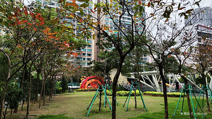 氹仔中央公園第 1 张图片