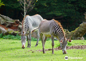 海尔布伦动物园