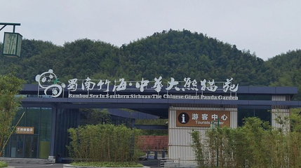 蜀南竹海风景名胜区-熊猫基地第 1 张图片