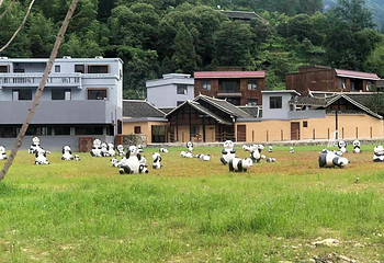 牙溪生态农场第 15 张图片