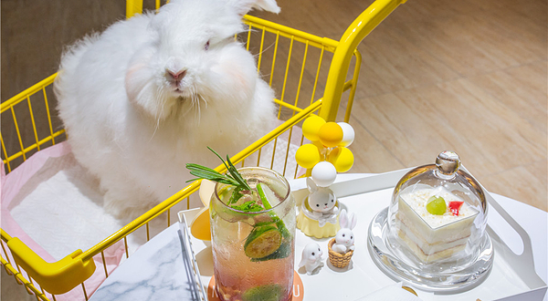 遇见萌宠（爱玩萌兔）长沙旗舰店