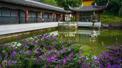 兰风寺第 3 张图片