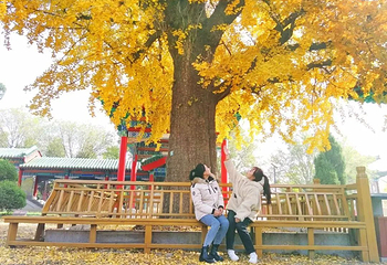沂蒙山旅游区沂山景区第 21 张图片