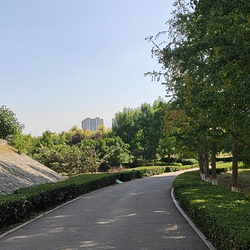 金堤河国家湿地公园