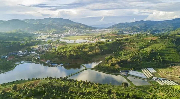 普洱·祖祥万亩有机茶庄园