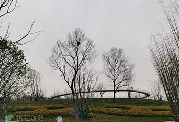 浅山休闲公园第 5 张图片
