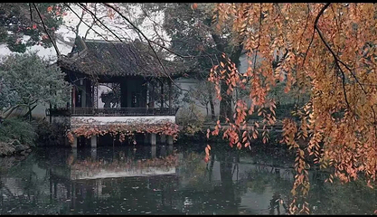 拙政园第 419 张图片