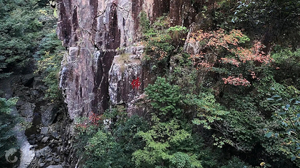 白马崖景区第 2 张图片