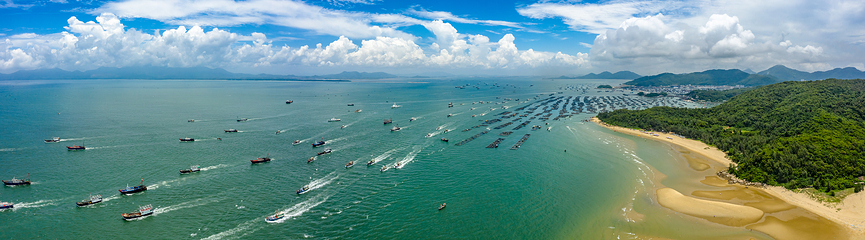 海陵岛第 42 张图片