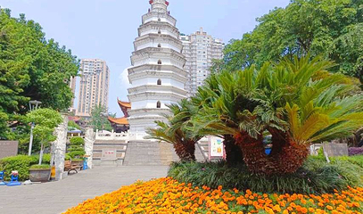 白塔广场第 1 张图片