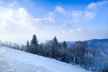 天恒山冰雪运动大世界第 12 张图片