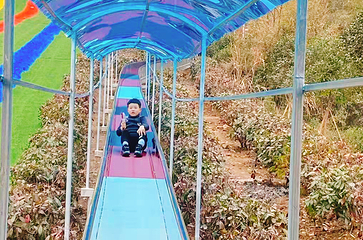 杨家寨第 49 张图片