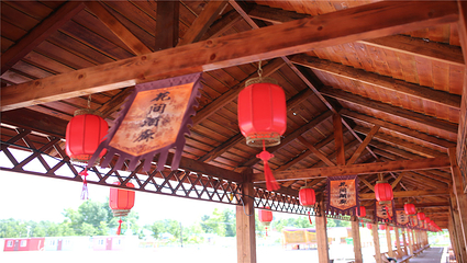 印象太安花海田缘休闲度假村第 3 张图片