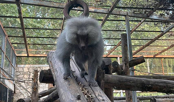 北京动物园-儿童动物园