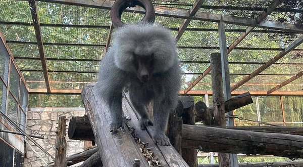 北京动物园-儿童动物园