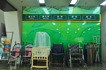 沈阳植物园第 72 张图片