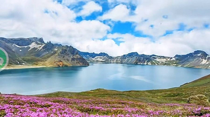高山花园第 1 张图片