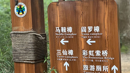 古樟林风景区第 1 张图片
