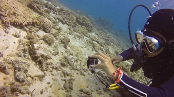 琴海潜水俱乐部