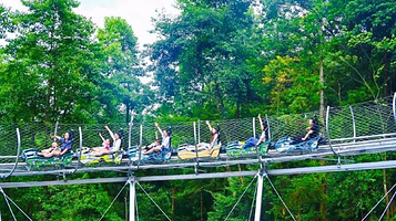 碧峰峡丛林过山车