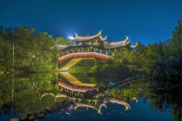 三垟湿地第 4 张图片