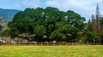 福州国家森林公园