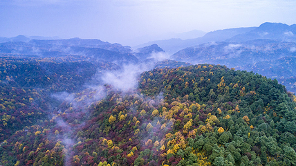 小草坝生态旅游区第 17 张图片