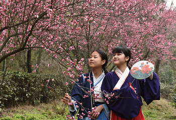 花乡茶谷旅游景区第 59 张图片