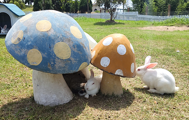 盐城大丰港动物园第 36 张图片