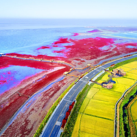红海滩国家风景廊道