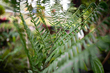 鼎福私家花园第 19 张图片