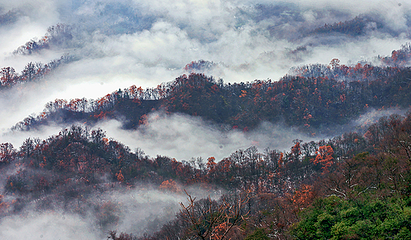 神农顶风景区第 53 张图片