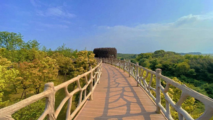 鄱阳湖吴城候鸟小镇第 8 张图片