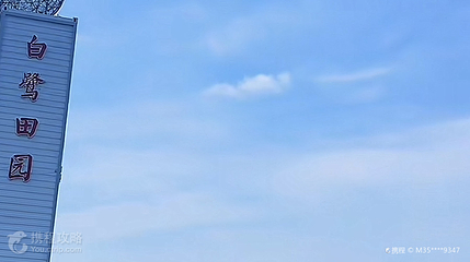 白鹭田园第 2 张图片