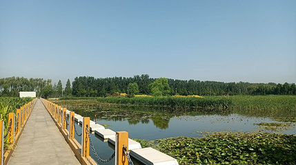 稻屯洼国家城市湿地公园第 1 张图片