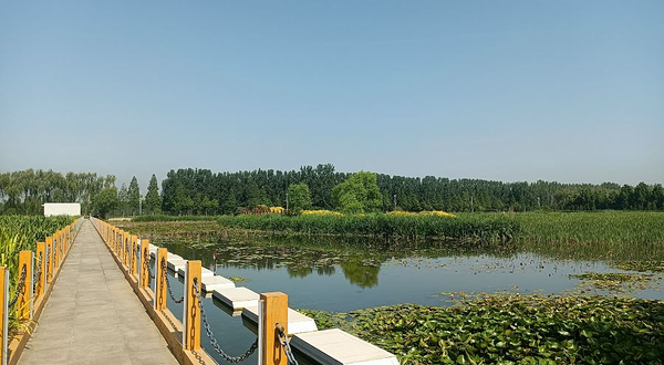 稻屯洼国家城市湿地公园