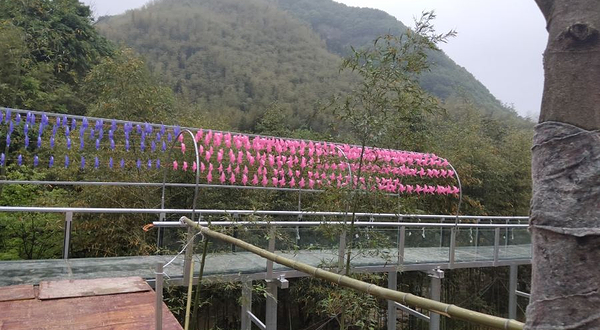 皖南雅鲁藏布玻璃漂流